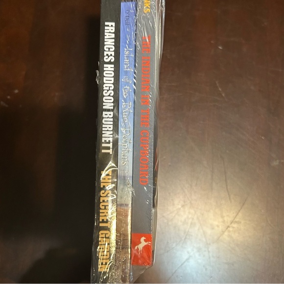 3 Book Lot Set Indian in the Cupboard, Secret Garden, Island Of Blue Dolphins - Picture 4 of 4